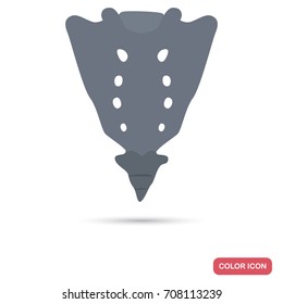 Human coccyx skeleton color icon for web and mobile design