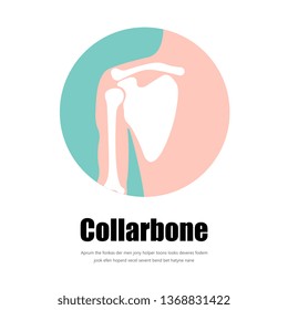 Human collarbone icon