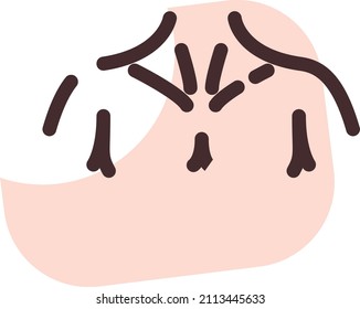 Collarbone humano, ilustración, vector sobre un fondo blanco.