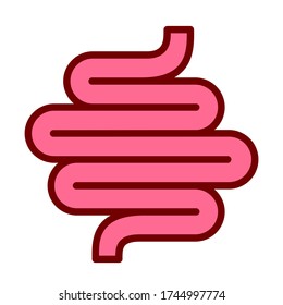 Human colon simple vector cartoon on white background