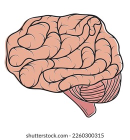 human color brain isolated vector illustration in cartoon style