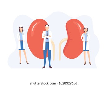 Human color kidneys shape in flat style vector illustration isolated on white background. Medical poster with human organ and doctors.