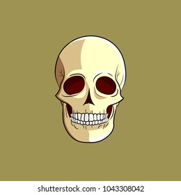 Human colored skull. Vector illustration.