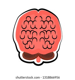 Human cut brain image. Colored sketch. Vector illustration design