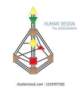 Human design bodygraph chart design. Vector isolated illustration. Energy centers gates system blank template