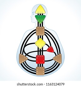 Human design bodygraph chart design. Vector isolated illustration. Energy centers gates system blank template