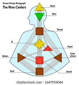 Human Design Chart, or BodyGraph, with the nine colored energy centers, vector illustration.