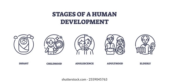 Human development stages depicted with icons of infant, child, adult. Outline icons set.