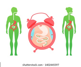Human digestion system flat color diagram for medical apps and websites.