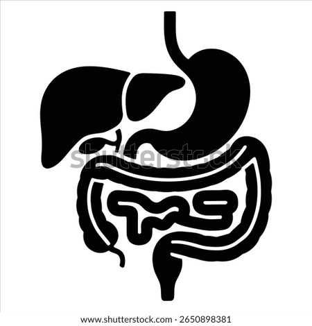 Human Digestive System Anatomy Black and White Vector