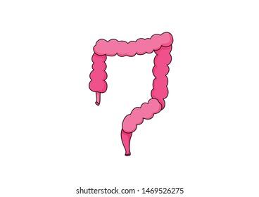 Human digestive system, Cartoon vector illustration