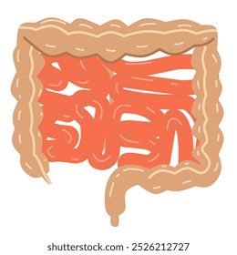 the human digestive system, with a focus on the intestines. This image is relevant for educational purposes, medical presentations, or health content representation of intestinal anatomy