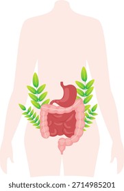 Sistema digestivo humano con hojas de hierbas