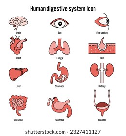 Human digestive system icon. flat design health concept, Vector, illustration.