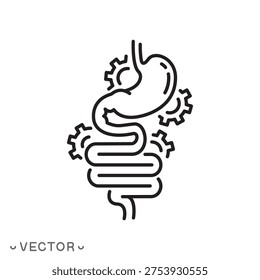 human digestive system icon, stomach and intestines, metabolic process and digestion, intestinal protection, thin line symbol isolated on white background, editable stroke eps 10 vector illustration