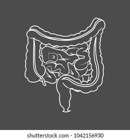 Human Digestive System Intestines Gut Anatomy Gastrointestinal Tract Diagram. Monochrome Contour Of The Intestine