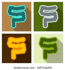 Human digestive system intestines gut anatomy gastrointestinal tract diagram