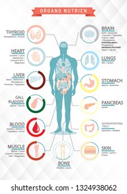 The human digestive system ,medical vector illustration  - Vector