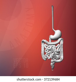 The human digestive system. The stomach, intestines, rectum. Polygonal vector three-dimensional illustration. Linear color background. The anatomical structure of the human. Medical scheme.