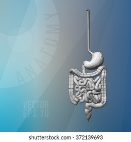 The human digestive system. The stomach, intestines, rectum. Polygonal vector three-dimensional illustration. Linear color background. The anatomical structure of the human. Medical scheme.