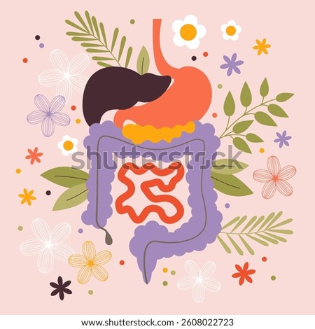 Human Digestive System. Stomach, liver, spleen, gallbladder, small intestine and large intestine.Human body inside
