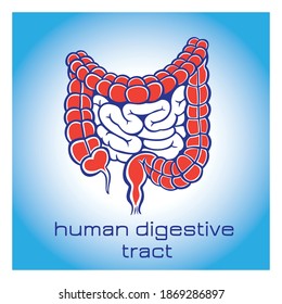 Human digestive tract icon. Vector illustration.