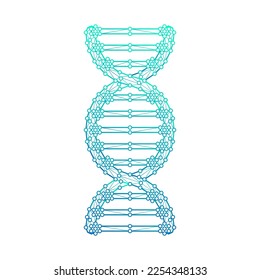 ADN del genoma humano Doble Helix Poligonal de polos bajos triangulados puntos de conexión de malla Icono del logotipo médico, línea de arte aislado en fondo blanco