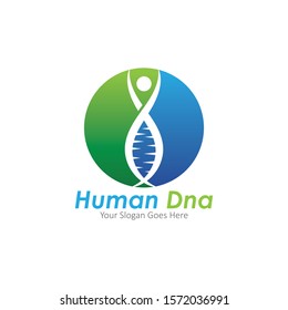 Human DNA and genetic vector icon design