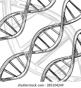 The Human DNA Model, Drawing, Hand Drawing, Monochrome, Vector Stock