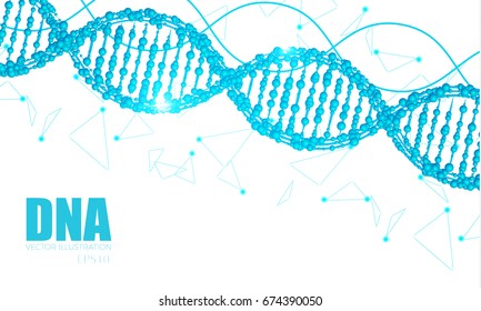 Human DNA Molecule Background. Science Design Template. Vector illustration