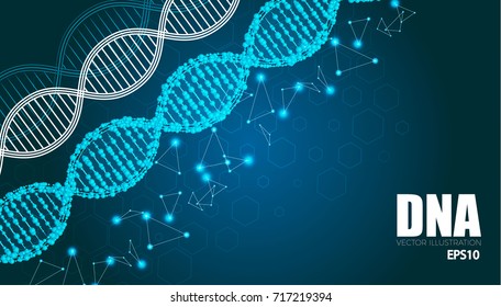 Human DNA Molecule Background. Science Shining Design Template. Vector illustration