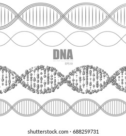 Human DNA Molecule Background and Ste. Science Design Template. Vector illustration