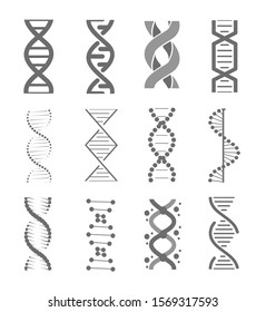 Human dna research technology symbols. Adn helix structure, genomic model and human genetics code.  Vector isolated illustration set