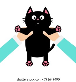 Human doctor vet hands holding black cat Funny face, paw print, mustaches. Veterinarian uniform. Cute cartoon character. Kawaii animal. concept. Love card. Flat design. White background. Vector