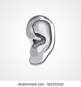 Human ear