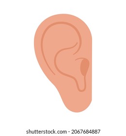 Human ear anatomical icon. Medical checkup and test of hearing organs concept. Deafness symbol on white background isolated flat vector illustration.