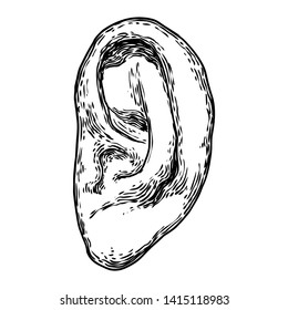 Human ear anatomy body part in engraved hand drawn style. Stylized drawing of decorative witchcraft, voodoo magic attribute. Illustration for Halloween. Vector.