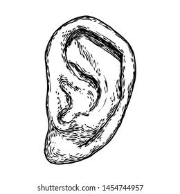 Human ear anatomy body part in engraved hand drawn style. Stylized drawing of decorative witchcraft, voodoo magic attribute. Illustration for Halloween. Vector.