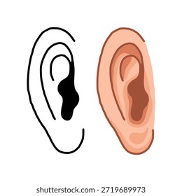 Human ear anatomy vector illustration in line and flat style isolated on white background