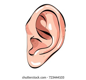 Human ear cartoon image. Artistic freehand drawing.