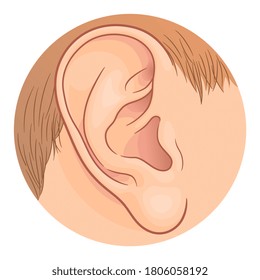 Menschliches Ohr im Kreis mit Haaren auf weißem Hintergrund. Vektorgrafik. 