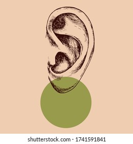 Human ear and circle. Hand-drawn vector illustration for your medical or fashion design.