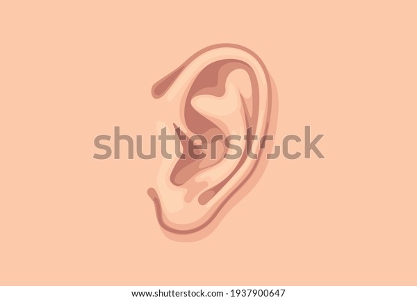 Human ear\
closeup. Design template of body\
part.