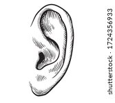 Human ear in engraved style,hand drawn visual

