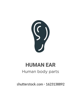 Human ear glyph icon vector on white background. Flat vector human ear icon symbol sign from modern human body parts collection for mobile concept and web apps design.