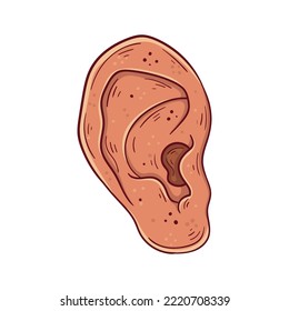 Human ear hand drawn cartoon simple vector illustration. Medicine and anatomy.