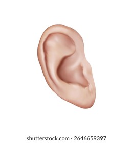 Human Ear illustration on white background vol 01