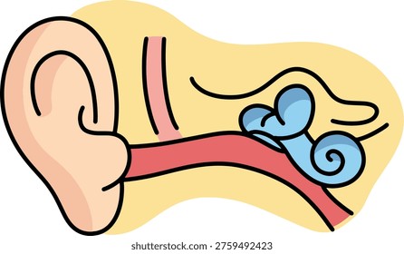 Human Ear Inner Structure Anatomy Illustration