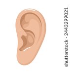 Human ear isolated on white background. Flat vector illustration