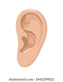 Human ear isolated on white background. Flat vector illustration